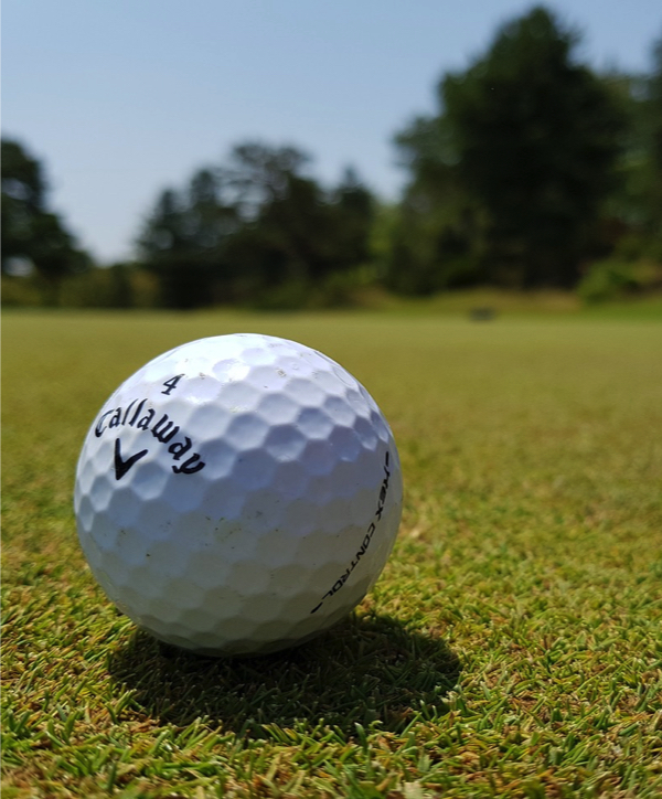 Grafton District Golf Club New South Wales Australia