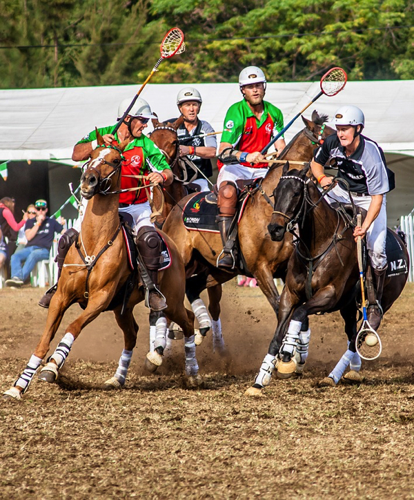 Grafton Polocrosse Club NSW Australia