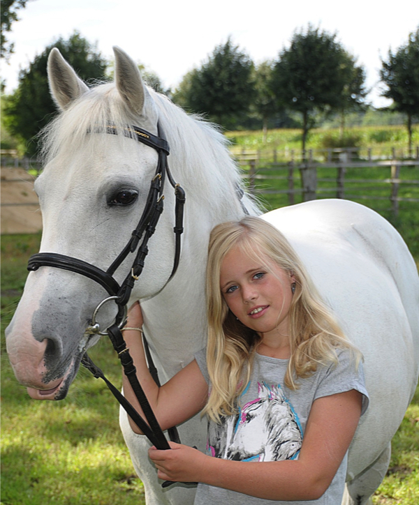 Grafton Pony Club NSW Australia