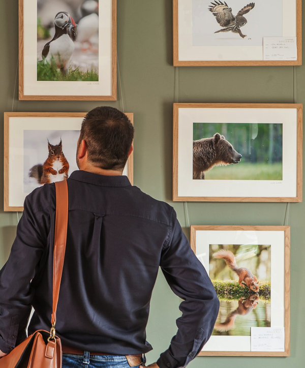 Grafton Regional Gallery New South Wales