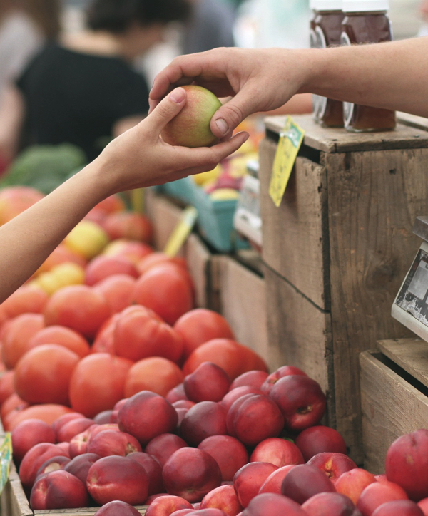 Grafton Showground Markets