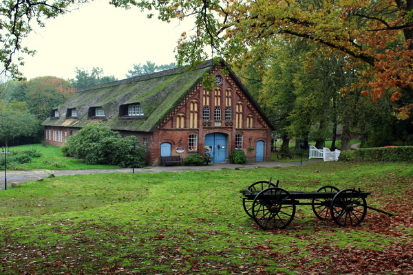 Best Farm Stays Clarence Valley NSW
