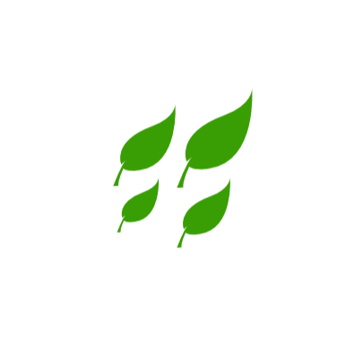 Small Business Promotion Grafton NSW